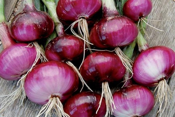 Солярис зеркало onion